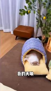 SKISOPGO Warm Plush Pet Nest Detachable Washable Semi-enclosed Sleeping Bag Soft Dog Cat Bed Autumn Winter