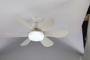 Fan Lamps Socket LED Dimmable Ceiling Fans with Remote Control 3 Speeds Wind Timing Ceiling Fan with Tricolor LED Lights