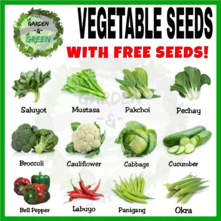 High Quality Vegetable Seeds (Pechay, mustasa, sili, talong, okra ...