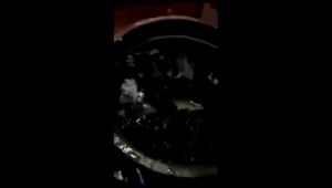 Umpan Pelet Berkualitas Tinggi untuk Ikan Bawal & Bandeng