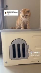 key: บ้านสัตว์เลี้ยง รุ่น Drizzle PetCube หรือ Hosttail บ้านสัตว์เลี้ยง รุ่น Drizzle PetCube