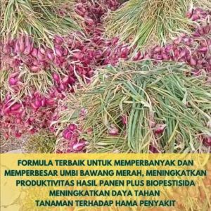 Pupuk Bawang Merah Pupuk Organik Bawang Daun Pupuk Penyubur Pembesar Umbi Bawang Penguat Bawang Daun