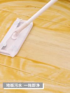 ไม้ถูพื้น Lazy Mop เพิ่มเติม - มีเพิ่มเติมของ ไม้ม๊อบ กระดาษเปียก กระดาษแห้ง ไม้ม็อบดันฝูน ลูกกลิ้งเก็บฝูน ผ้ารีฟิลถูพื้น ไม้ถูพื้นใช้แล้วทิ้ง