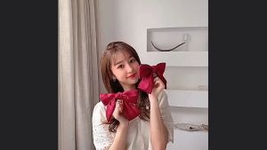 F4 Jepit Rambut Pita Besar Bahan Velvet Model Korea Aksesoris Rambut Wanita Impor HCO004