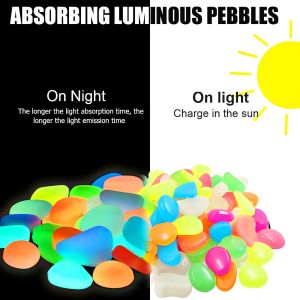 BATU HIAS AQUARIUM & DEKORASI TAMAN (STONE LUMINOUS)