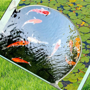 Aquarium Floating Plant Fence Rings Fish Feeding Rings Tank Floating Grass Blocking Rings Enclosure Interceptor Fish Tank pond