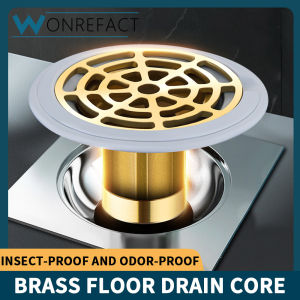 Brass Deodorant and Insect-proof Floor Drain Core Sewer Drain Filter Core Floor Trap Bathroom Shower Room Drainage Tool