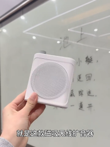 Voice Amplifier With Bluetooth & Lavalier Microphone Magnetic Wireless Lapel Speaker for Teacher 2.4G Chip 6-8 Hours Working Time Gift Idea