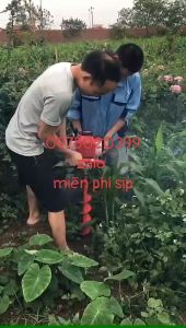 Máy khoan đất Oshima 2p: khoan trồng tiêu trồng trụ rào. giá rẻ