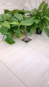 XTYPE 360 Cleaning Easy Rotating Mop With Microfiber Cloth Flat Handle Dust Mop Pads JC Elise