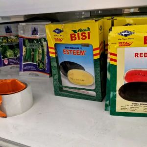 Benih Semangka Esteem F1 Semangka Inul Kuning Hibrida 20gr Kemasan Ori
