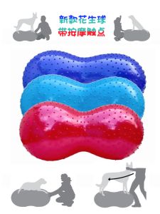 AVC Pet Peanut Ball Capsules for Paralyzed Dogs Enhance Back Leg Strength Core Muscle Support Dog Training Equipment Supplies