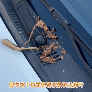 ฝาครอบที่ปัดน้ําฝนรถยนต์ ฝาครอบป้องกันรูปัดน้ำฝน ซิลิโคนฝาครอบที่ปัดน้ํฝน วัตถุประสงค์ทั่วไป ติดตั้งง่าย ทนทานต่อการสึกหรอ ทนต่อความเย็น เนื้อสัมผัสอ่อนนุ่ม ไม่เสียหายง่าย 1 คู่