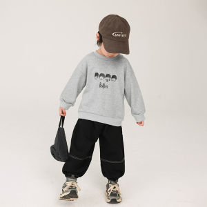 Loose Long Sleeve Hoodie for Boys Spring Autumn Childrens Casual Top Korean Style Polyester Cotton Blend Warm round Neck