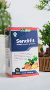 Obat Herbal Saraf Syaraf Kejepit Terjepit Nyeri Pinggang Encok sakit Pinggang Nyeri Bahu Pundak Diskolasi Bahu Dengan Sendifit
