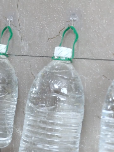 ตะขอติดผนังใสไร้รอยมหัศจรรย์ | ตะขอกาวไร้รอยต่อพร้อมความสามารถในการรับน้ำหนักที่แข็งแกร่ง