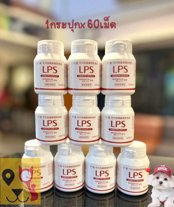 🐶🐱🐰LPS Dr อาหารเสริมในสัตว์เลี้ยงจากประเทศญี่ปุ่น 1กระปุกมี60เม็ด ...