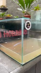 CAIRAN PEMBERSIH KERAK KACA DAN NODA AQUARIUM - ZIKLIN GLASS By BERRITZ