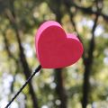 Car Roof Decorative External Ornaments Cute Rabbit Cat Ears Tree Seedling Small Car Modification Personalized Decoration Supplies. 