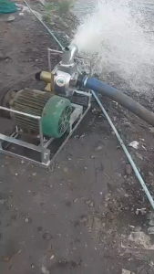 ปั๊มเพลาลอยมิเนียม TOP MARKO 3" x 3" ปั๊มเพลาลอย ปั๊มน้ำเพพลาลอย หน้าทอง 6ใบพัด