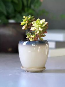 Jiaxun | Unique Ceramic Planter with Saucer Large Egg-Shaped