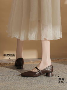 Mary Jane Womens Chunky Heel Single Shoes Cowhide Grandmother Style Spring 2025 Fashionable mid Heel Leather Slip-On Shoes