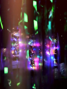 Dome Valentine Flower Gift Anniversary Birthday Flowers Rose Bouquet Present