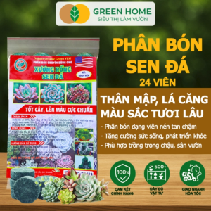 Mua 5 tặng 1 -  Phân Bón Sen Đá Greenhome Gói 24 Viên Kích Rễ Lên Màu Chuẩn Dùng Cho Cây Mọng Nước Xương Rồng