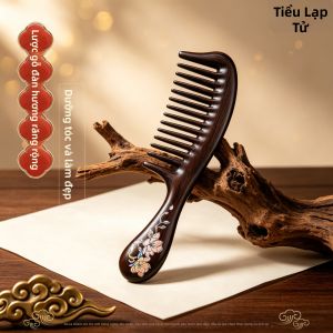 XIAOLIZI | Mái Chải Rộng Từ Gỗ Trầm Đen Nhỏ và Dễ Mang