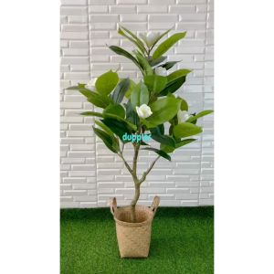 Pohon Artificial Tanaman Hias Magnolia T120 Latex Cover Pot Anyaman Purun Handle Dekorasi Ruangan Kantor