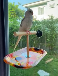 คอนยืนนก, คอนติดกระจก, คอนไม้ติดกระจก, เคลื่อยย้ายได้