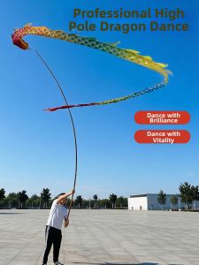 BSKT | Rồng Ribbon LED Cột Dài