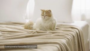 𝐅𝐥𝐚𝐧𝐧𝐞𝐥 Fleece Blanket Twin Size 60x80 Inches Luxury Bed Blanket Anti-Static Fuzzy Soft Microfiber Fleece Blanket