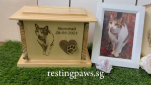 Resting Paws My Devotion Personalized Pet Urn