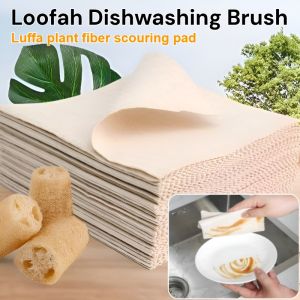 Loofah Dishwashing Brush Double-sided Cleaning Scouring Pad Kitchen Household Dishwashing Cloth Sponge Loofah Pot Scrubber