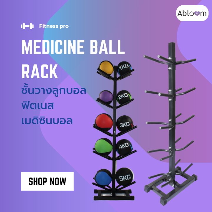 พร้อมส่ง ชั้นวางลูกบอลฟิตเนส ชั้นวางเมดิซินบอล (สีดำ) Medicine Ball Rack Fitness Ball Rack