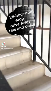 Penghalau Tikus Paling Berkesan 24 Hours Long-Lasting Effect100%Expel Insects Rats And Ants Ball Pests Repellent Pills