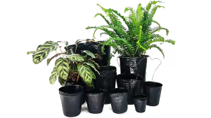 100pcs Black Nursery Pot Plastic Soft Pots Seedling Container Polybag Flower Pot Pasu Bunga Hitam