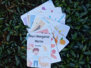 Flashcard Warna/alat Bantu Belajar Membedakan Warna