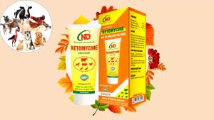 Nhũ Dịch Bôi Ngăn Ngừa Nấm Da Cho Chó Mèo Ketomycin - Tuýp Dạng Kem Nấm Da Vẩy Gàu Trên Chó Mèo Hiệu Quả Cao