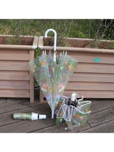 MOLORE | Automatic Opening Transparent Umbrella 21 inch