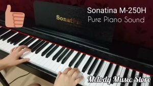 Master/ Exam Grade 88 Keys Digital Piano Professional Portable Smooth Dynamic Hammer Action Weighted Touch Piano Keyboard Sonatina M-250H Weighted Keys Piano Portable Digital Piano Hammer Action Piano Excellent Sound High Quality T Shape Stand Promotion