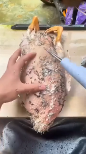 Alat Pencabut Bulu Ayam Elektrik Pinset bulu Ayam Bebek Angsa Elektrik Cabut 2in1 Stainless Bulu Mesin Angsa Potong Ternak