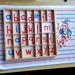 Moveable ABC alphabet Spelling wooden Montessori toys