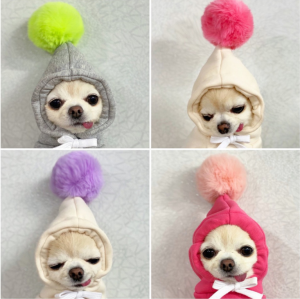 Pet Clothes Teddy Cat Puppy Bichon Pomeranian Schnauzer Yorkie Small Dog Sweatsuit with Ball Pattern Normal Size Casual Style