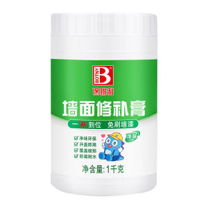Botny | Ceiling Wall Repair Paste Home Use