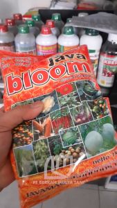1 Kg Pupuk KNO3 Super Java Bloom Fase Generatif Pembungaan Pembuahan