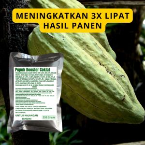 Pupuk Booster Coklat: Penunjang Pertumbuhan Tanaman Buah