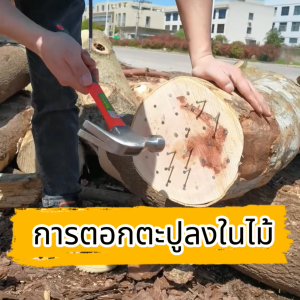 4จังหวะ เลื่อยยนต์ 20นิ้ว/22นิ้ว/24นิ้ว 25แรงม้า18900W รับประกัน 5 ปี เลื่อยน้ำมัน เครื่องเบนซิน