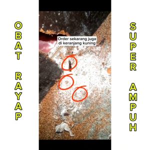OBAT PEMBASMI RAYAP AMPUH ANTI RAYAP